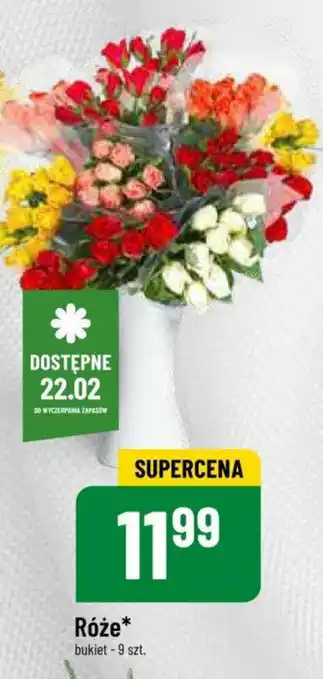 Róże 9szt.