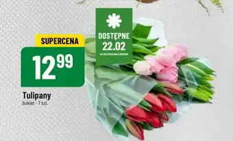 Polomarket Tulipany 7szt. oferta