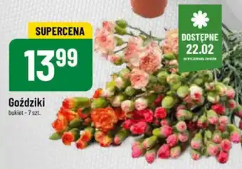 Polomarket Goździki 7szt. oferta