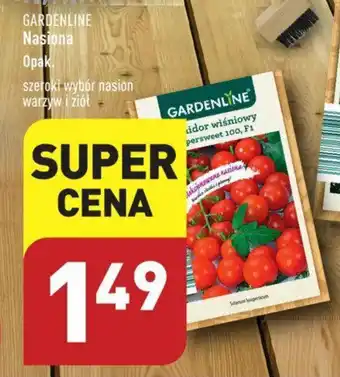 ALDI GARDENLINE Nasiona oferta