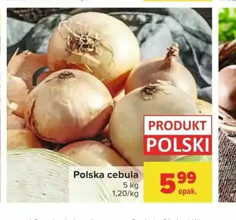 Carrefour Polska cebula oferta