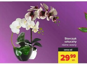 Carrefour Storczyk sztuczny oferta