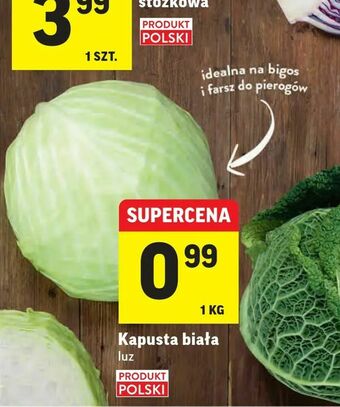 Intermarche Kapusta biała oferta