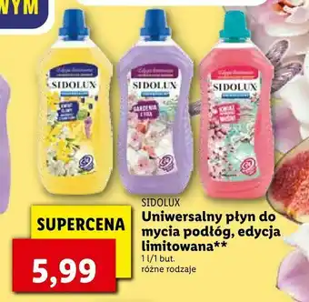 Lidl Uniwersalny płyn do mycia podłóg edycja limitowana oferta