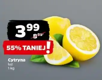 Netto Cytryna 1 kg oferta
