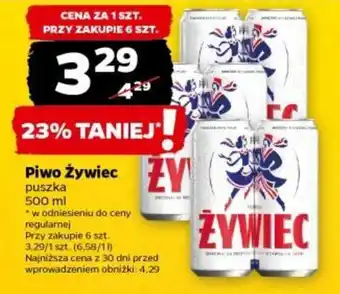 Netto Piwo żywiec 500ml oferta
