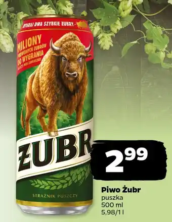 Netto Piwo Żubr 500 ml oferta