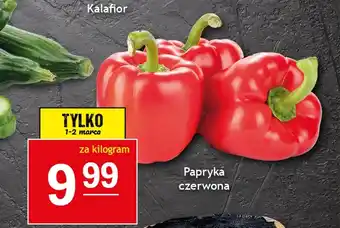 Gram Market Papryka oferta