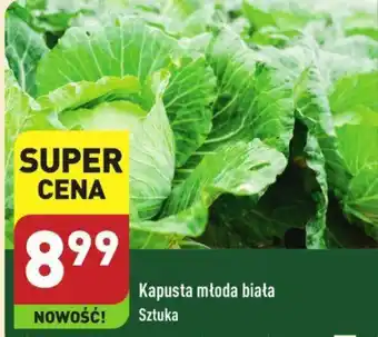 ALDI Kapusta młoda biała oferta
