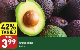 ALDI Awokado Hass oferta