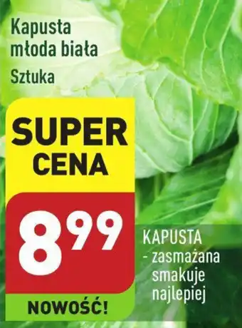 ALDI Kapusta młoda biała oferta