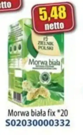 AT Morwa biala Herbapol oferta