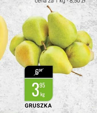 bi1 Gruszka oferta