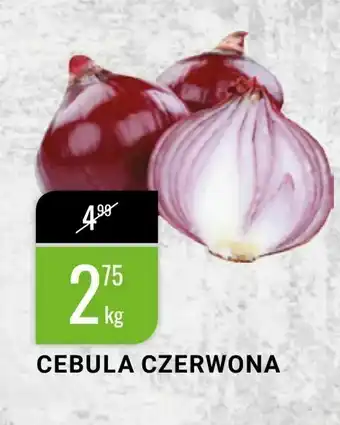bi1 Cebula czerwona oferta