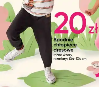 Pepco Spodnie chłopięce dresowe oferta
