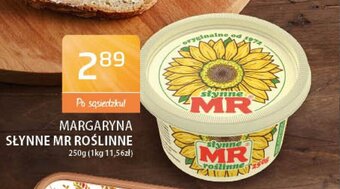 ABC Margaryna Słynne MR Roślinne 250g oferta
