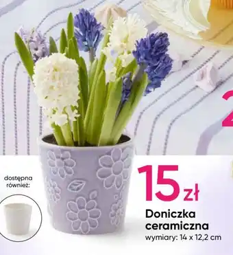 Pepco Doniczka ceramiczna oferta
