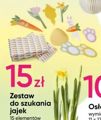 Pepco Zestaw do szukania jajek oferta