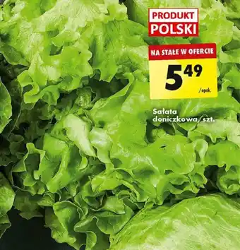 Biedronka Sałata doniczkowa szt. oferta