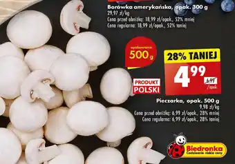 Biedronka Pieczarka 500 g oferta