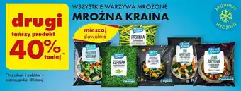 Biedronka WSZYSTKIE WARZYWA MROŻONE MROŹNA KRAINA oferta