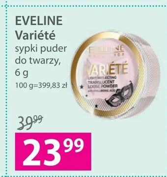 Hebe EVELINE Variété oferta