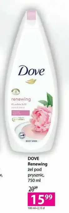 Hebe Dove renewing oferta