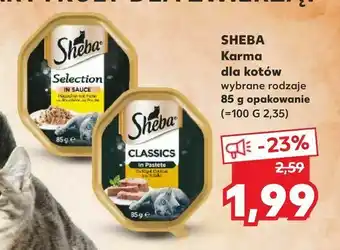 Kaufland SHEBA Karma dla kotów oferta