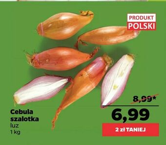 Cebula szalotka