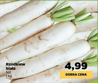 Netto Rzodkiew biała oferta