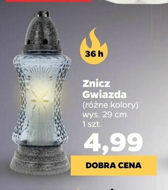 Netto Znicz Gwiazda oferta