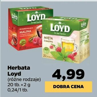 Netto Herbata Loyd oferta