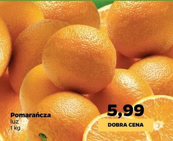 Netto Pomarańcza oferta