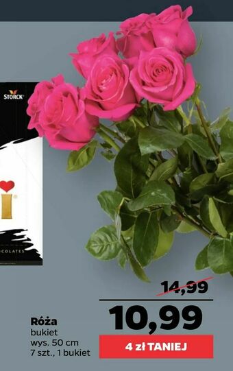 Netto Róża oferta