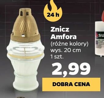 Netto Znicz Amfora oferta