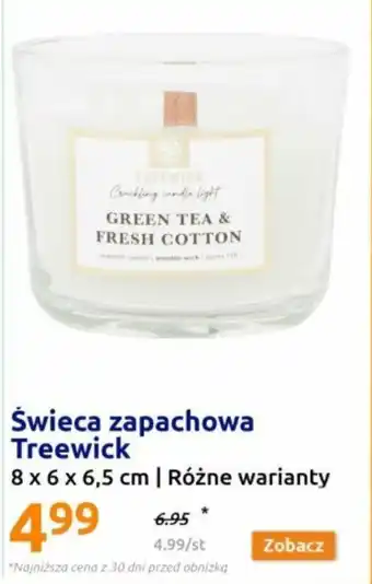 Action Świeca zapachowa Treewick oferta