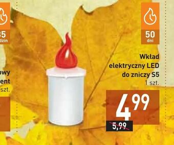 Stokrotka Wkład elektryczny LED do zniczy S5 oferta