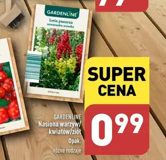 Nasiona warzyw Gardenline