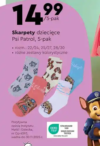 Biedronka Skarpety dziecięce Psi Patrol oferta