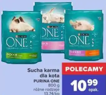 Carrefour Sucha karma dla kota Purina One 800g oferta