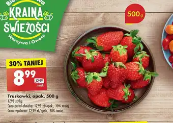 Biedronka Truskawki 500 g oferta