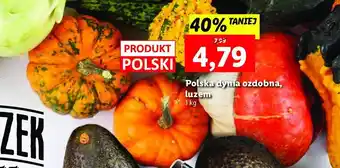 Polomarket Dynia ozdobna 1 SZT oferta