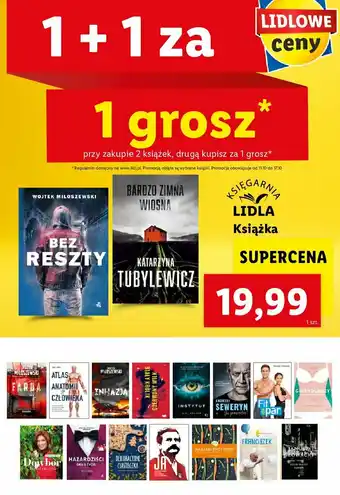 Lidl K.c archer &quot;instytut&quot; 1 SZT oferta