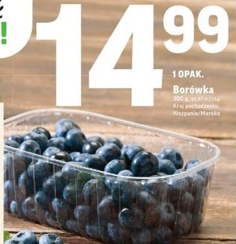 Intermarche Borówka 300g oferta