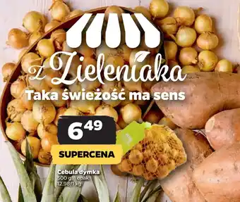 Netto Cebula dymka oferta