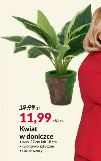 Agata Meble Kwiat oferta