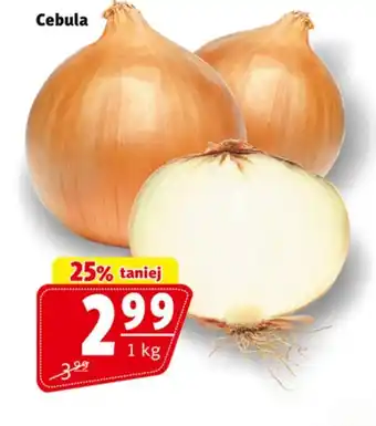 Prim Market Cebula oferta