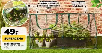 Netto Szklarnia oferta