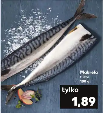 Kaufland Makrela oferta