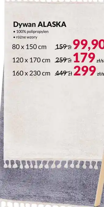 Agata Meble Dywan Alaska oferta